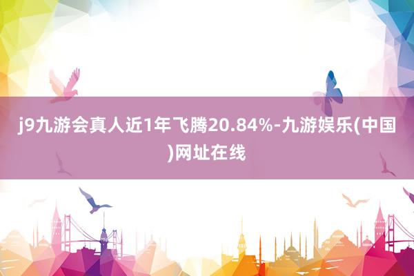 j9九游会真人近1年飞腾20.84%-九游娱乐(中国)网址在线