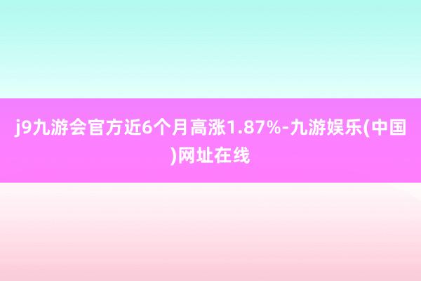 j9九游会官方近6个月高涨1.87%-九游娱乐(中国)网址在线